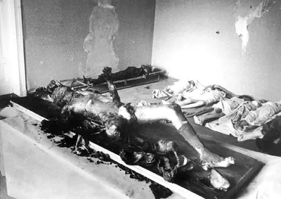 The bodies of Joseph and Magda Goebbels, and their six children, following their discovery by Soviet troops in May 1945