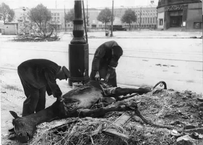 Armored personnel carrier Sd.Kfz.250 surrounded by the bodies of soldiers of the SS Nordland division after a failed escape on Friedrichstrasse