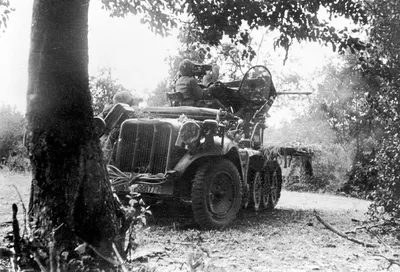 Theodor Busse&apos;s 9th Army continued to fight outside Berlin - A light anti-aircraft gun fires on Soviet troops as they advance towards Ninth Army’s positions in the Spree forests.